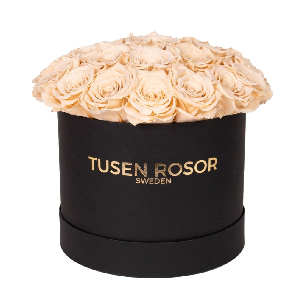 Beige rosor | Classic dome box Tusen rosor
