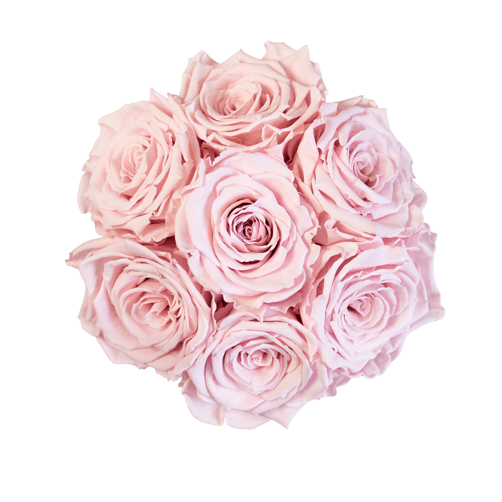 Ljus rosa rosor | Basic dome Tusen rosor