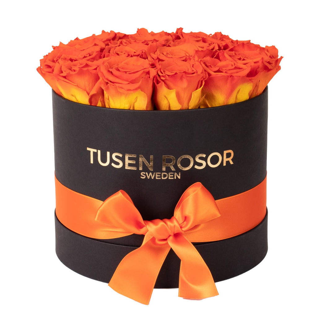Orange rosor | Classic box Tusen rosor