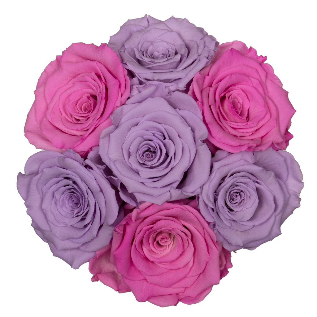 Rosa & lila rosor | Basic dome Tusen rosor