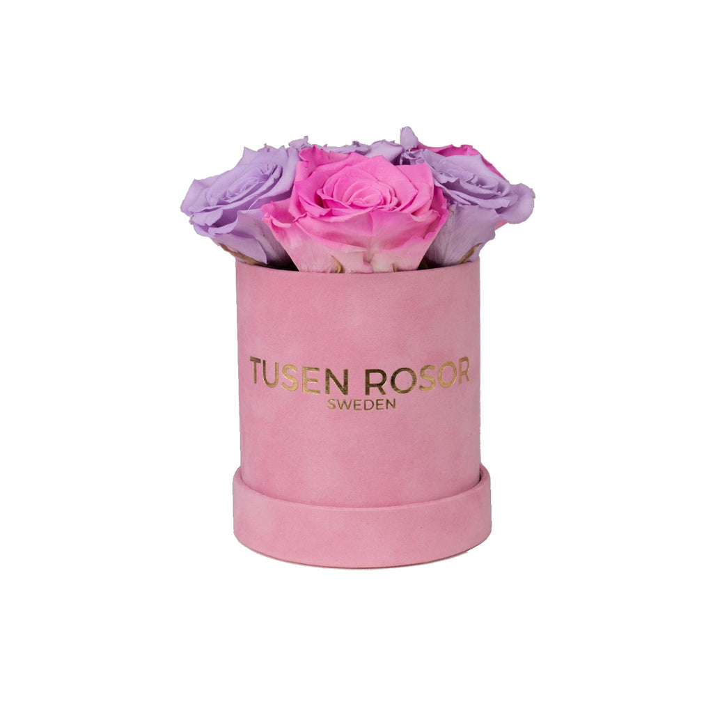 Rosa & lila rosor | Basic dome Tusen rosor