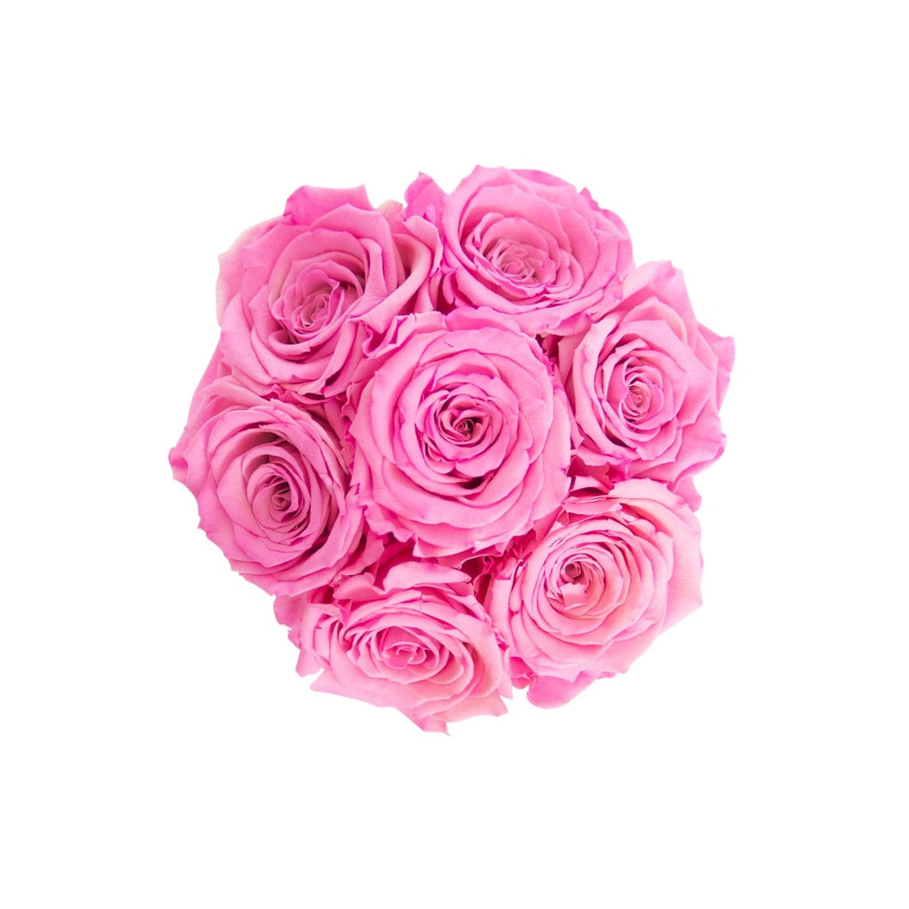 Rosa rosor | Basic dome Tusen rosor