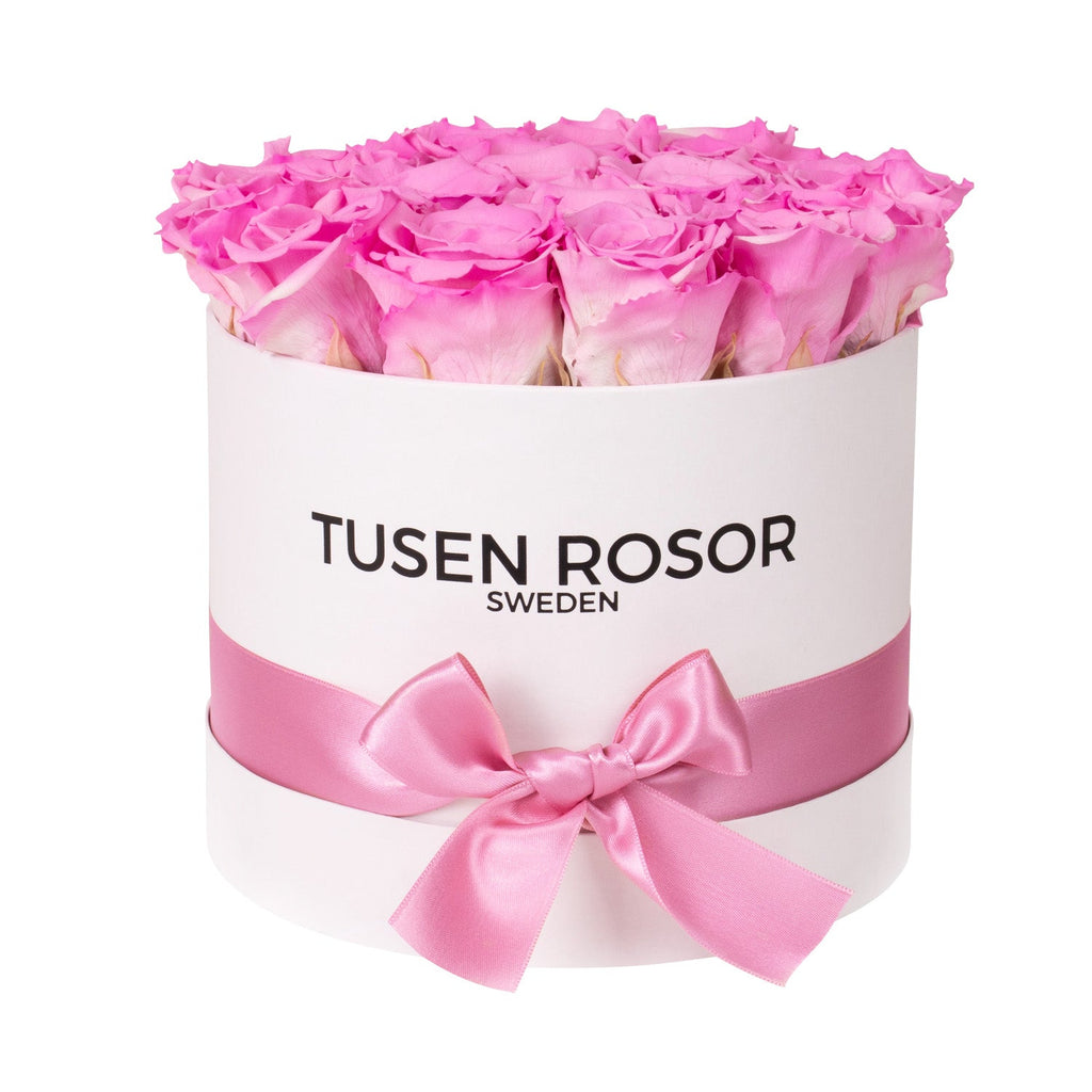 Rosa rosor | Classic box Tusen rosor